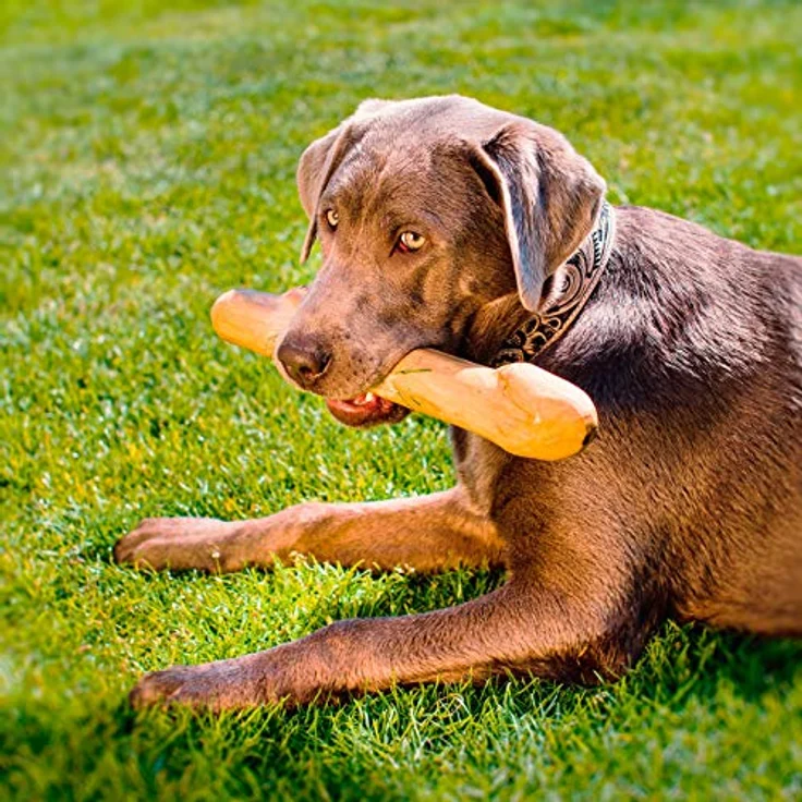 Larsson | Gorilla Kaffeeholz für Hunde Größe L Kaustangen, Kauholz für Hunde - EIN gesundes Hundespielzeug für anganhaltenden Kauspaß, ca. 200-300g – Bild 3