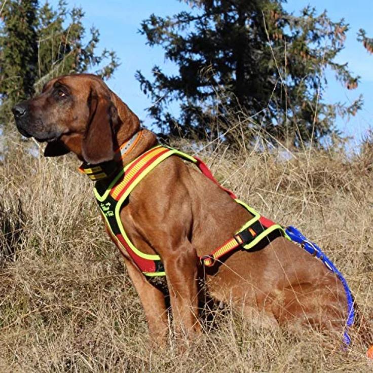 Niggeloh Hundeführgeschirr Follow Trail (S, Hund, Hundesport), Signal Gelb/Rot, handgefertigt, dynamisch & elastisch – Bild 4