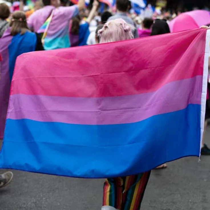 MOGADEE Bisexual Flag, 90 * 150cm mit Wetterschutz und UV-Schutz, hochwertige Oxford-Stoffflagge für Indoor und Outdoor, geeignet für LGBTQ Festivals und Paraden – Bild 5