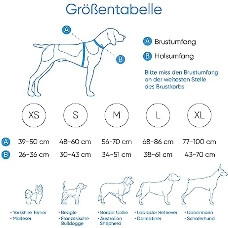 FREUDENTIER® Hundegeschirr mit atmungsaktiver Polsterung - Bombenfester Sitz - Anti Zieh Brustgeschirr für große, mittelgroße und kleine Hunde (L) – Bild 2