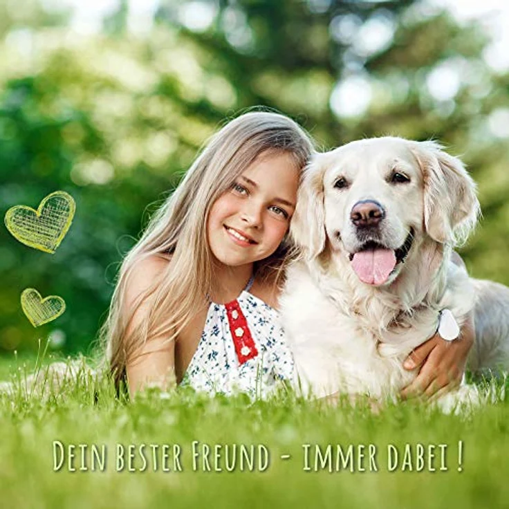 MONKIMAU Koppelleine Hundeleine für 2 Hunde aus Nylongurt – Bild 5