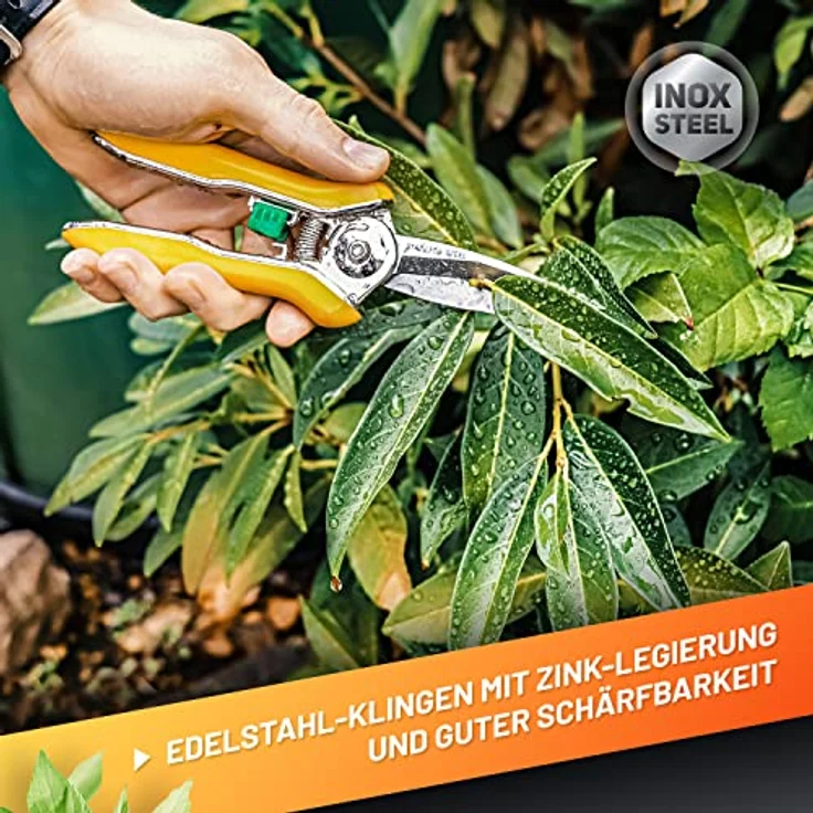 GRÜNTEK Colibri Rosenschere, 170 mm Bypass Gartenschneider mit Edelstahlklingen und Soft-Touch Ergo-Griff – Bild 3