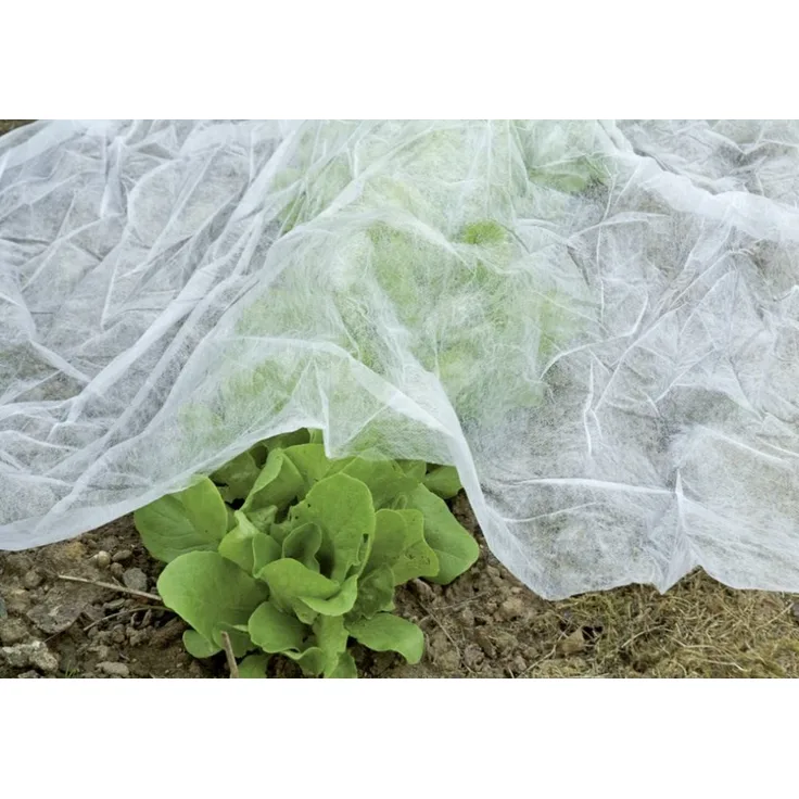 Floraworld Gartenvlies Classic 10 x 1,5 m