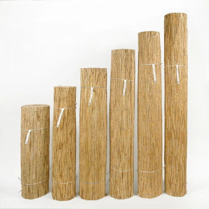 Floraworld Schilfrohrmatte Comfort Plus 1x6m