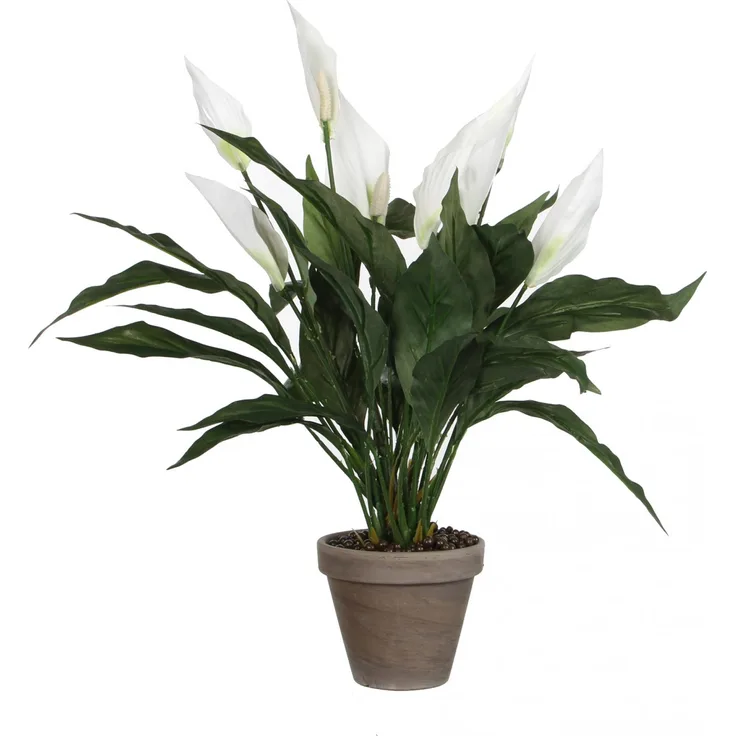 Mica Kunstpflanze Spathiphyllum weiß im Topf 11,5