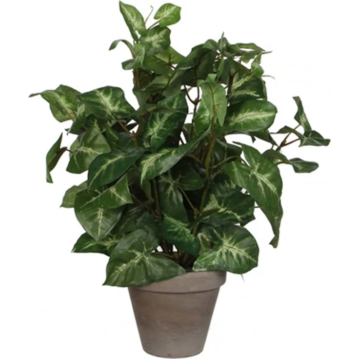 Mica Kunstpflanze Syngonium grün im Topf 35 x 25