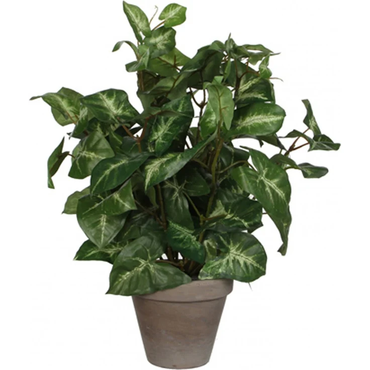 Mica Kunstpflanze Syngonium grün im Topf 35 x 25