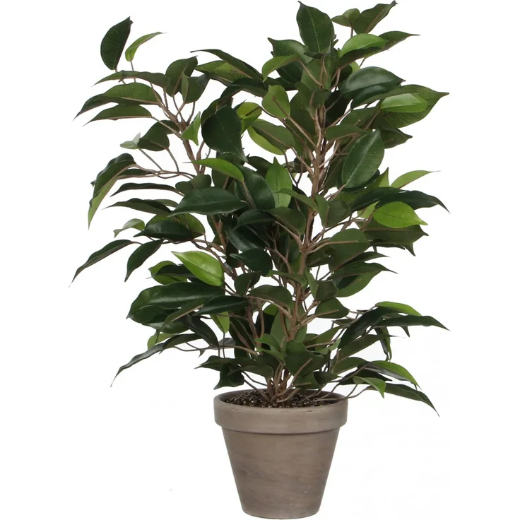 Mica Kunstpflanze Ficus Natasja grün im Topf 40 x