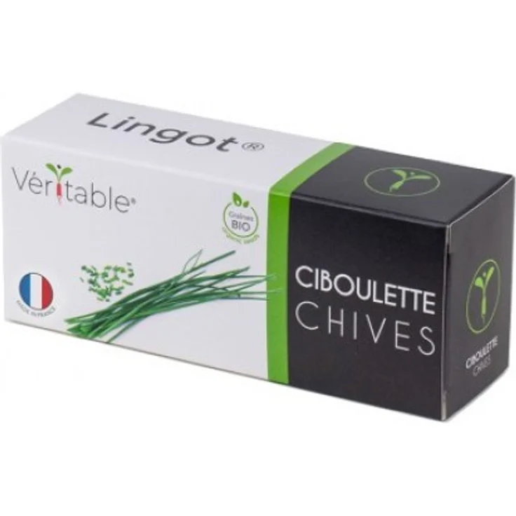 VT Lingot Schnittlauch BIO 