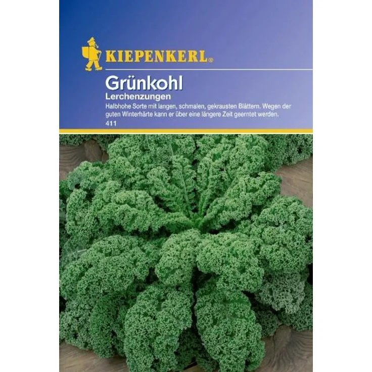 Grünkohl Lerchenzungen