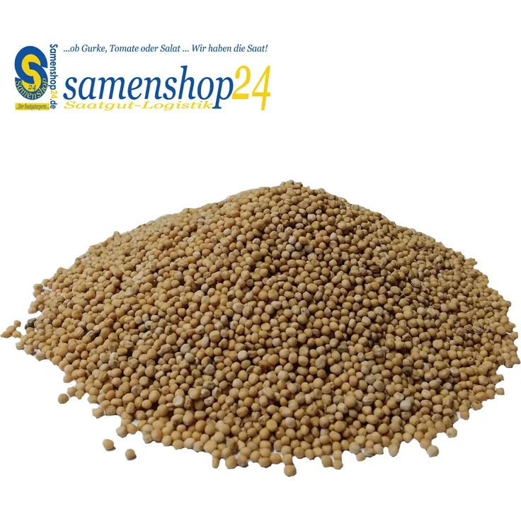 Samenshop24® Gelbsenf, Inhalt: 10kg für ca. 2000m²