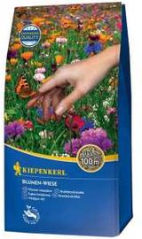 Kiepenkerl Blumen-Wiese 1 kg