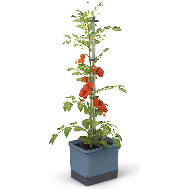 GUSTA GARDEN Tom Tomato Tomatentopf blau | Tomatentöpfe – Bild 1