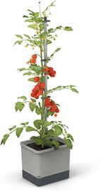 GUSTA GARDEN Tom Tomato Tomatentopf hellgrau