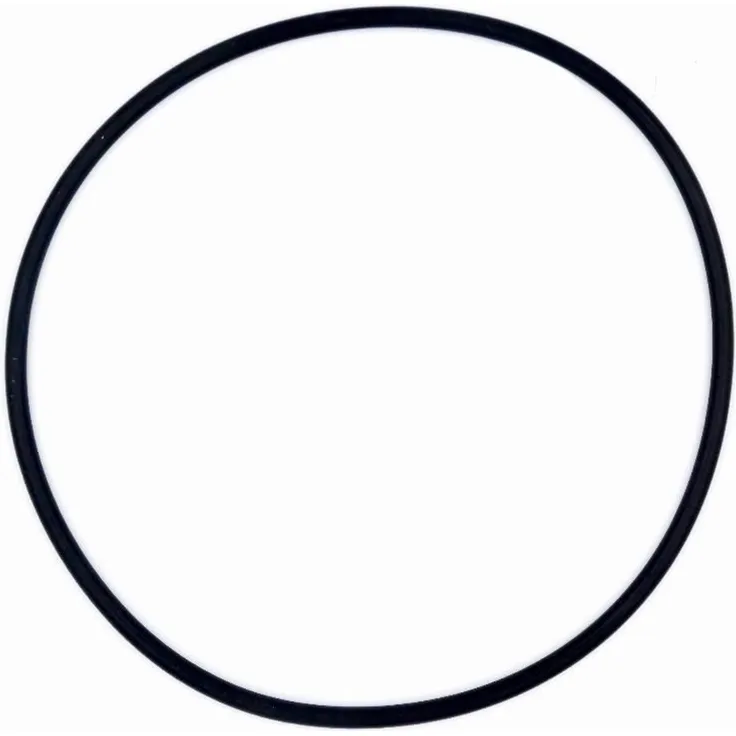 OKU Ersatzteile für SPS-Pumpen: O-Ring für Schlauchtülle Druckseite 50,5 x 3,3 mm EPDM 70 Pos. 18