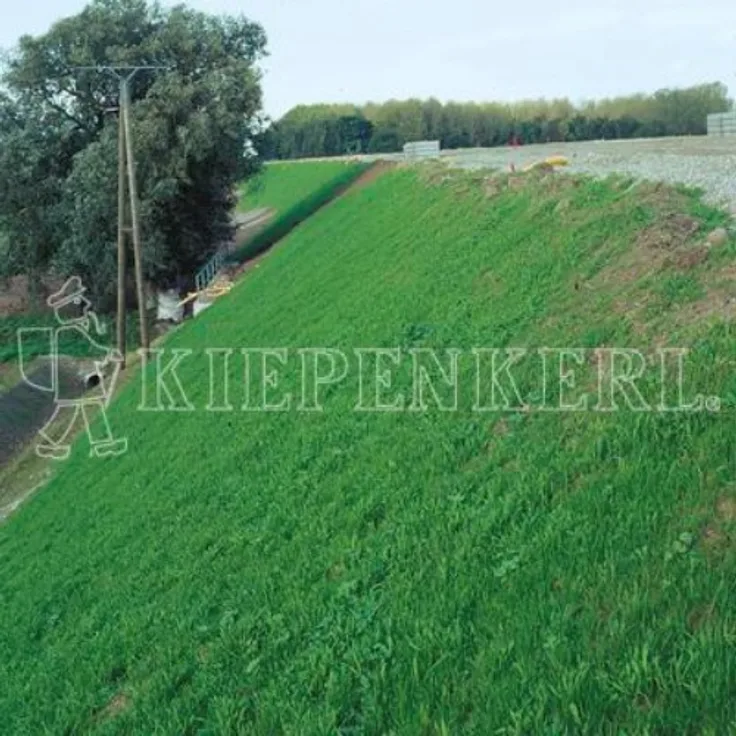 DSV 870 Böschungsansaat mit Klee 1kg