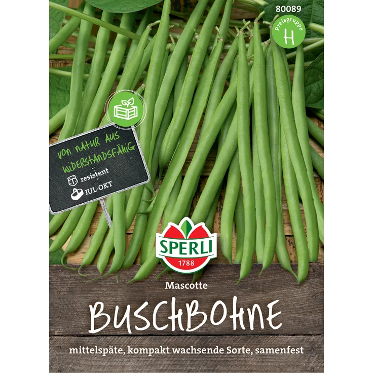 Sperli Buschbohne Mascotte, überzeugt als Filetbohne mit ihrem hervorragendem Geschmack