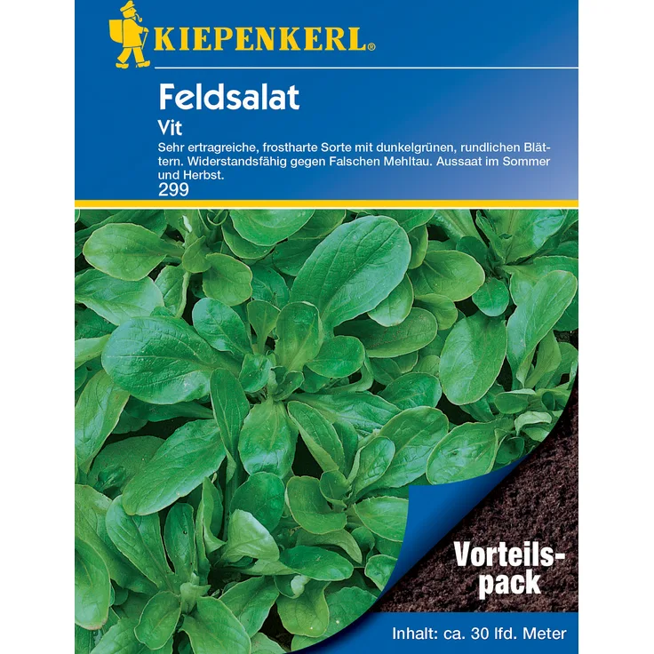 Kiepenkerl Feldsalat Vit (Vorteilspack), Inhalt 20gr., ertragreiche robuste schnellwüchsige Feldsalat-Sorte, widerstandsfähig, für Freiland und Gewächshaus