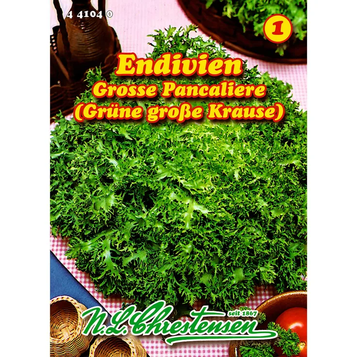 N.L. Chrestensen Endivien, Grosse pancaliere