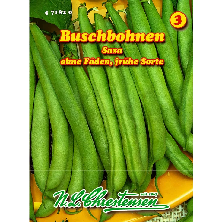 N.L. Chrestensen Buschbohnen, Saxa für ca. 9 lfd. Meter