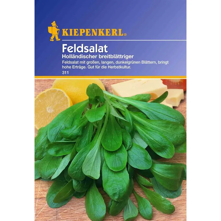 Kiepenkerl Feldsalat Holländischer breitblättriger Portion