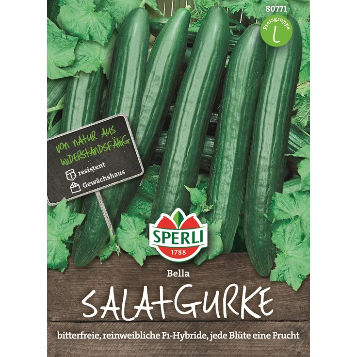 Sperli Gurke Salatgurke Bella F1 rein weiblich