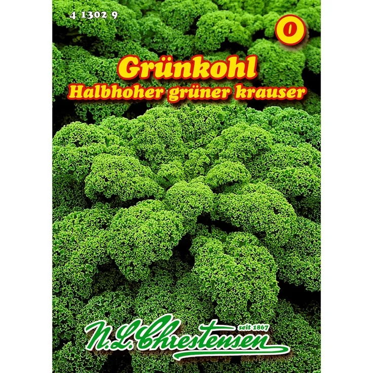 N.L. Chrestensen Grünkohl, Halbhoher grüner Krauser für ca. 150 Pflanzen