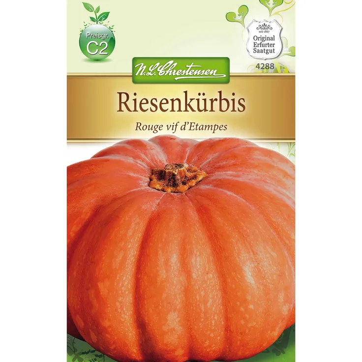 N.L. Chrestensen Kürbis Rouge vif d'Etampes