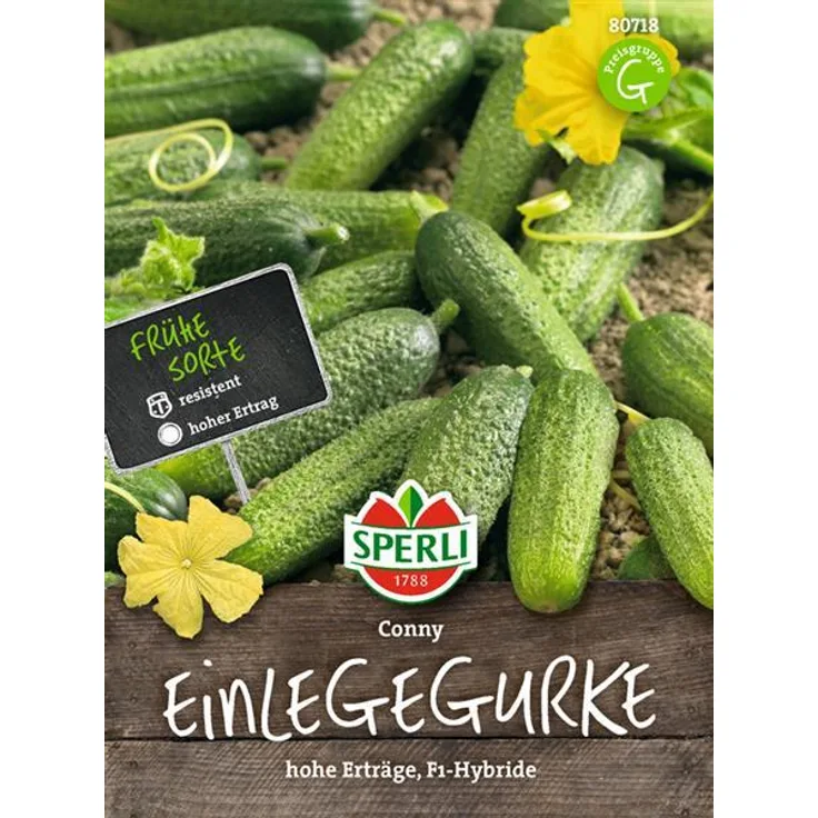 Sperli Gurke Einlegegurke Conny F1 parthenocarp (Ersatz für Bimbostar)