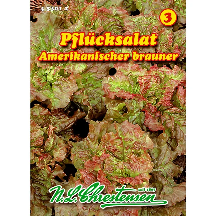 N.L. Chrestensen Pflücksalat, Amerikanischer brauner für 6-8 lfd. Meter