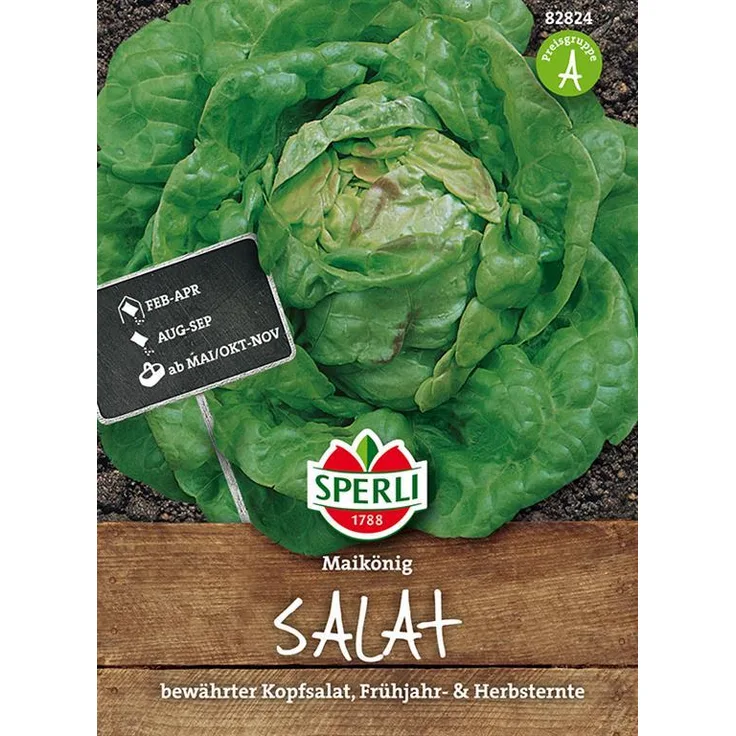 Sperli Kopfsalat Maikönig
