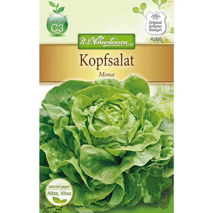 N.L. Chrestensen Kopfsalat Mona
