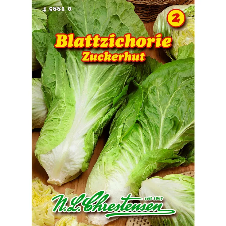N.L. Chrestensen Blattzichorie, Zuckerhut