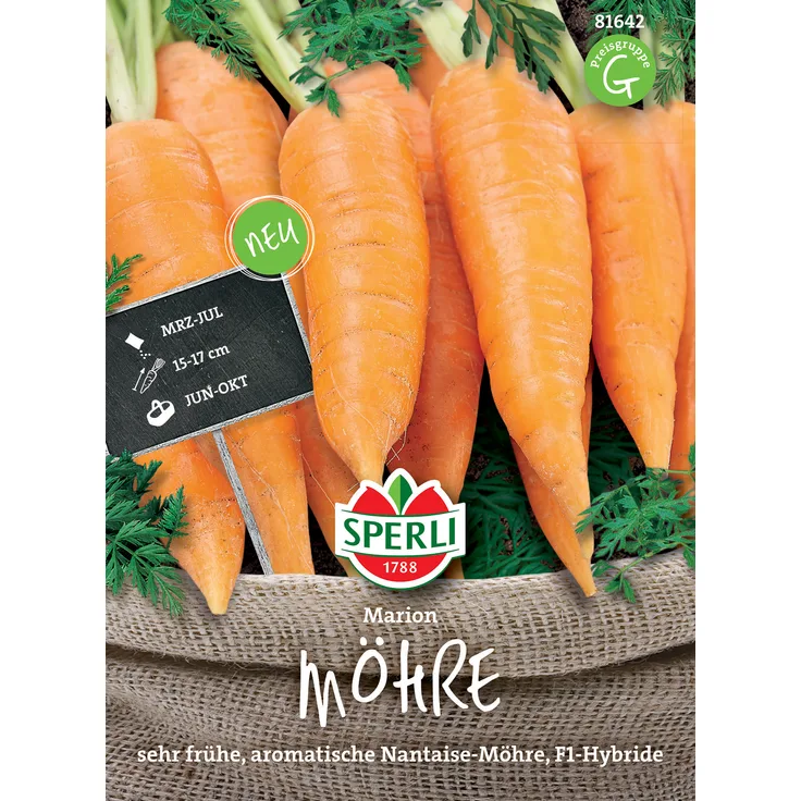Sperli Möhre Marion F1, frühe Nantaise-Möhre, entwickeln einen saftigen aromatischen Geschmack