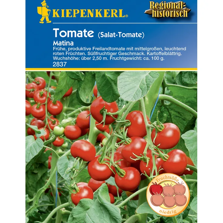 Kiepenkerl Salat-Tomate Matina, früheste Freilandtomate mit kartoffelblättrigem Laub, robust gegen die meisten Tomatenkrankheiten