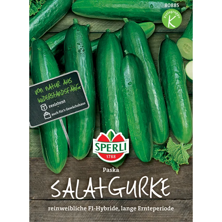 Sperli Salatgurke Paska F1, eine Gurke mit 25 cm langen glänzend dunkelgrünen und schlanken Früchten, sehr ertragreich