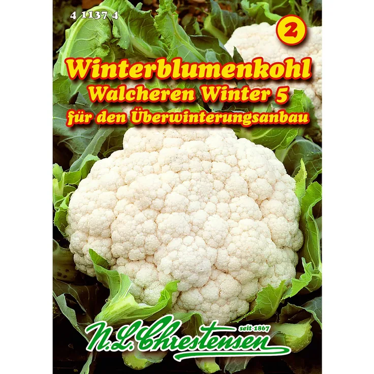 N.L. Chrestensen Blumenkohl, Walcheren Winter 5
