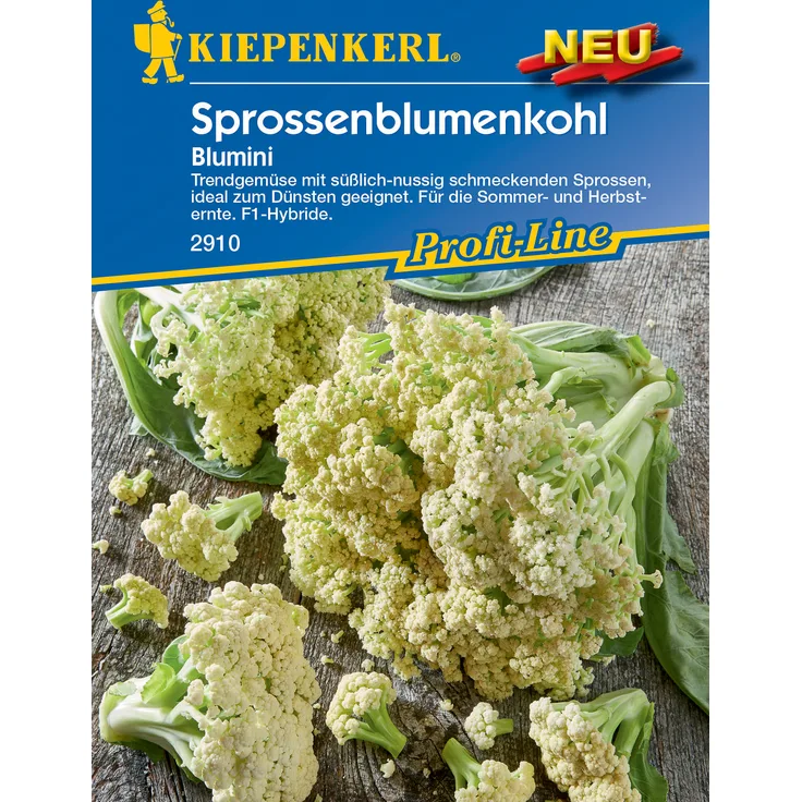 Kiepenkerl Sprossenblumenkohl Blumini F1-Hybride, Trendgemüse mit süßlich-nussig schmeckenden Sprossen, ideal zum Dünsten geeignet, für die Sommer- und Herbsternte