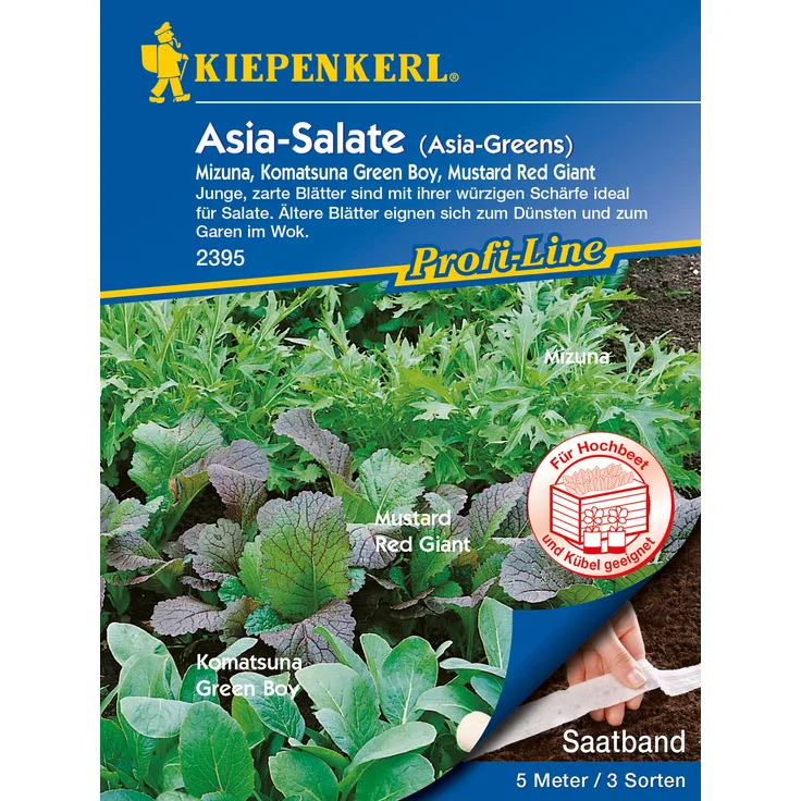 Kiepenkerl Asia-Salate Mizuna, Komatsuna Green Boy, Mustard Red Giant, Saatband 5 Meter (3 x 1,67 m)