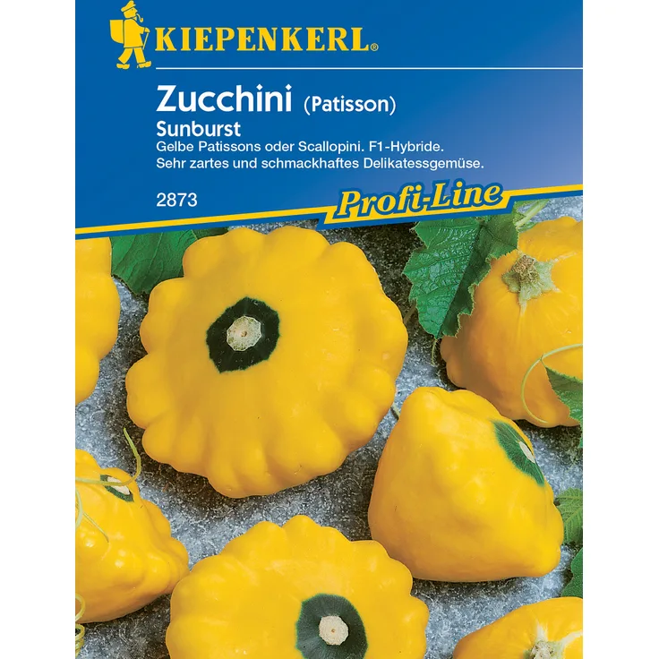 Kiepenkerl Zucchini Sunburst F1, die gelben Früchte mit dekorativem grünen Fleck sind jung geerntet besonders schmackhaft