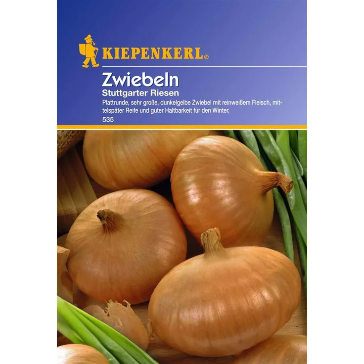 Kiepenkerl Zwiebeln Stuttgarter Riesen