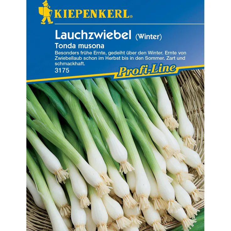 Kiepenkerl Winterlauchzwiebel Tonda musona, Winterharte Bundzwiebel ideal für den Überwinterungsanbau und Frühjahrsaussaaten