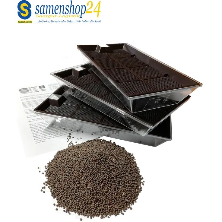 Samenshop 24 Samenshop24 BIO Keimsprossen Brokkoli Anzucht-SET, BIO Saat + 3 Keimschalen (das Original)