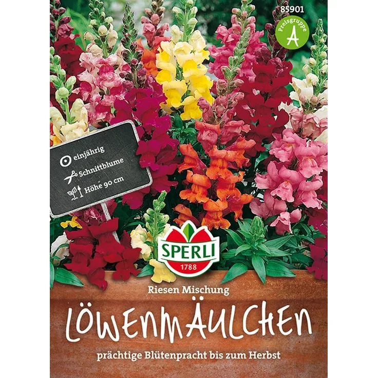 Sperli Löwenmaul SPERLING`s Riesen
