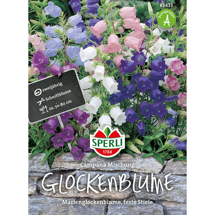 Sperli Glockenblumen Campanula medium SPERLING`s Campana Mischung