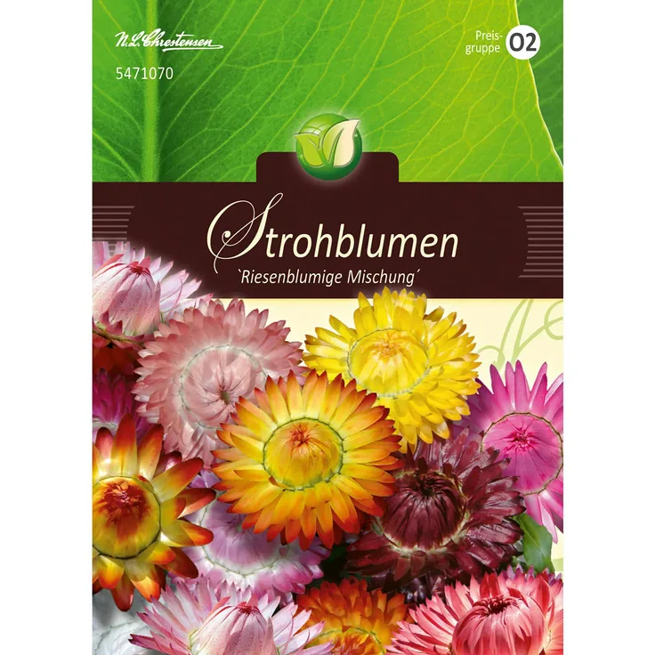 N.L. Chrestensen Helichrysum, Strohblumen, Riesenbl. Mg.