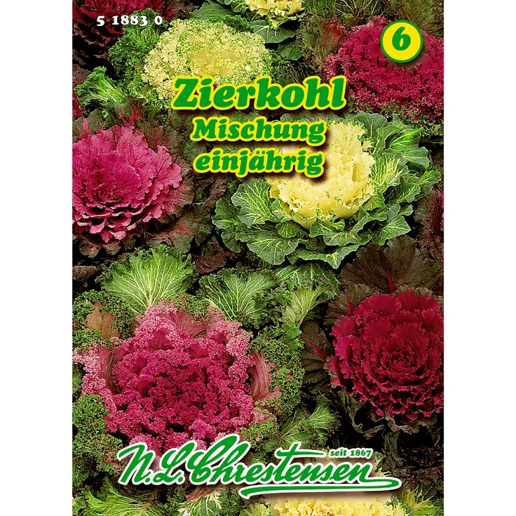 N.L. Chrestensen Brassica oleracea, Zierkohl, Mischung