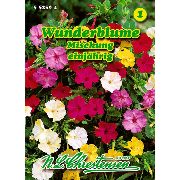 N.L. Chrestensen Mirabilis, Wunderblume, Mischung