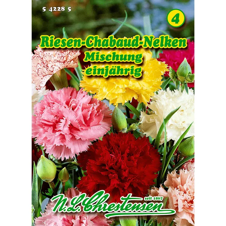 N.L. Chrestensen Dianthus, Riesen-Chabaud-Nelken, Mischung