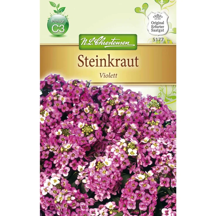 N.L. Chrestensen Lobularia Steinkraut Alyssum, Violett